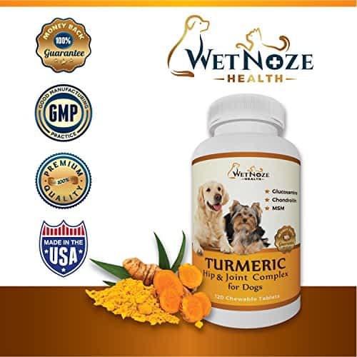 Benefits of Turmeric for Dogs Best Glucosamine For Dogs