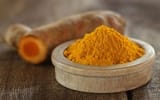 Benefits of Turmeric for Dogs