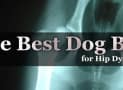 The Best Dog Bed for Hip Dysplasia – 2020 – Fast Guide