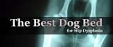 The Best Dog Bed for Hip Dysplasia – 2020 – Fast Guide
