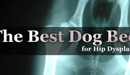 The Best Dog Bed for Hip Dysplasia – 2020 – Fast Guide