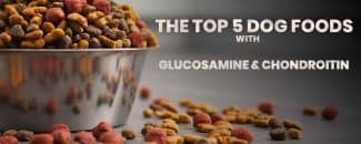 The Top 5 Dog food with Glucosamine and Chondroitin – Reviews